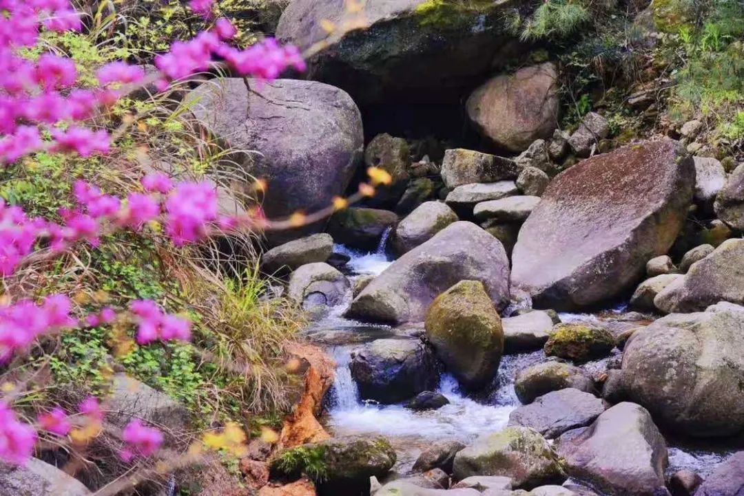 GA黄金甲(中国游)最新官方网站